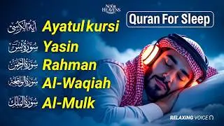 Soft & Emotional Quran Recitation for Sleep | Al-Fatiha, Ayatul Kursi, Surah Yaseen, Al-Mulk