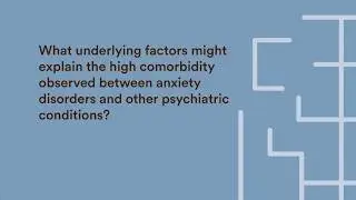 What Explains Anxiety&rsquo;s High Comorbidity?