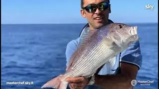 Giuliana Capursi porta la Farrata in TV