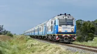 Trenes del día de hoy pasando a 30km por el Sosiego (km 386) | #trenesargentinos #lineagralroca 