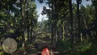 Red Dead Redemption Online: Lawbringer Series: Part 1