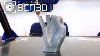 BCN3D+ Printing OK