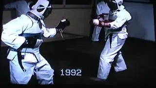 Controlled Bogu Kumite