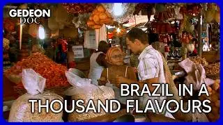 COOKING THE WORLD : Brazil, a journey into fusion food and vibrant traditions 🇧🇷 | FOOD TRAVEL DOC