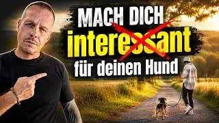 Sei interessanter als Wurst &ndash; f&uuml;r deinen Hund #hundetraining #hundeerziehung #hundepsychologie