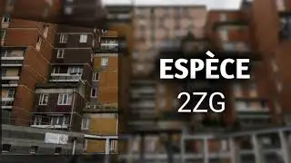 2zg - Esp&egrave;ce (Audio)