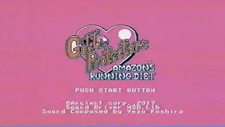 [FC/NES] Gotta Protectors: Amazon's Running Diet (Recorded on VHS)