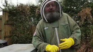 First checks on a beehive. Beekeeping basics, looking for bee disease and signs of the queen