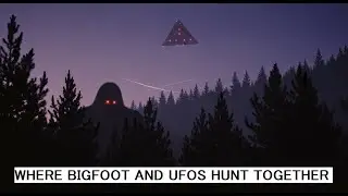 Missing 411: The Dinky Creek Vortex | Where Bigfoot and UFOs Hunt Together