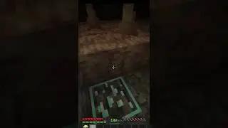 Sono stato griffato mentre registravo un video nella lifestyle smp #pvp #minecraft