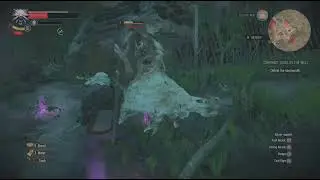 The Witcher 3: kill this thing