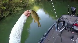 30 FISH in 1 SPOT in 4 HOURS!!! (SECRET FINESSE TECHNIQUE)