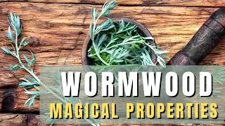 Wormwood loose herb - magical properties of wormwood