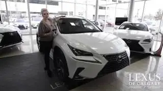 The Lexus Genuine Dash Camera
