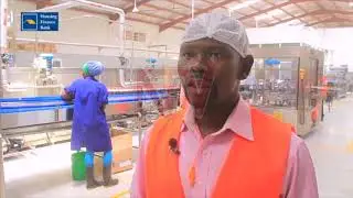 Beverage industry could promote employement among unskilled youth
