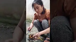 Miss Genius Repair #automobile #handpumpautomationmotorfixing #repair #farming #diy #review #funny