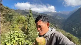 31st ma yo Pali k bhayo malai