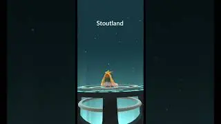 Shiny Herdier evolves into..... #Stoutland #Herdier #shiny #pokemongo #pokemon #shorts #dog #galar