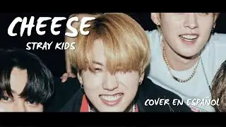 CHEESE -Stray Kids // Cover en Español [D.A.Y]