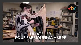 Le festival Harpes d'exil fête ses 15 ans