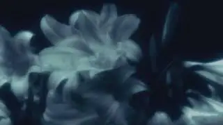 𝐁𝐨𝐫𝐧 𝐓𝐨 𝐁𝐞 𝐀𝐑𝐓𝐈𝐒𝐓 ⋰˚☆