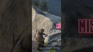 Coletando o Pombo com 3 estrelas #rdr2 #shorts