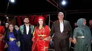 Xena -(henna) -G&uuml;lbahar & Kerem  EDİŞ d&uuml;ğ&uuml;n&uuml;-   -Koma Deşta Gever -ROJ MEDİA GROUP&copy;2024