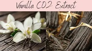 Vanilla CO2 Extract, INCI: Vanilla Plantifolia. Anti Acne, Rich Vanilla Aroma!