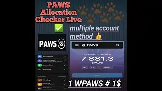 paws token allocation