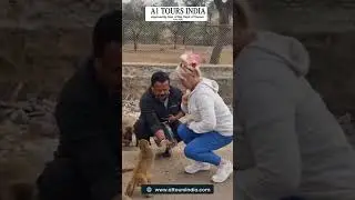 Netherlands Client Feedback | A1 Tours India Review |  Golden Triangle Tour