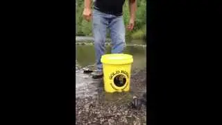 Лучший набор для промывки золота: The Gold Rush Nugget Bucket
