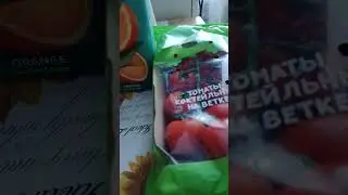 1 февраля 2026 г.
