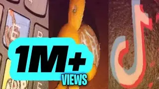 AMAZING TIKTOK #2 | INSTA STOCK | #TikTok