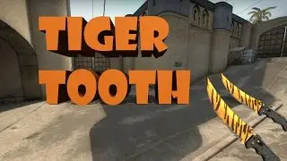 CSGO | Flip Knife - Tiger Tooth Showcase