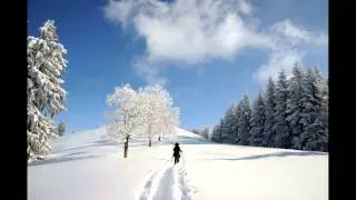 Winterlandschaften auf Schneeschuhen