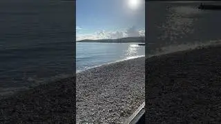 4K SEA MARE Порт, дельфины, чайки, бакланы. 281123 #GRRG