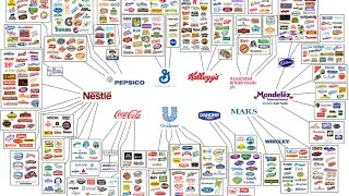 Network of Global Corporate Control 2 16