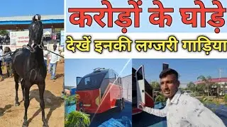 Pushkar Fair 2024 | Inside the World of Horse Trailers