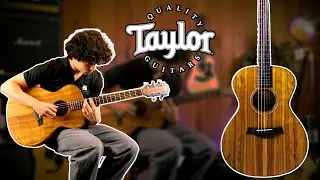 Taylor JCSM-5 Jacob Collier Signature 5-String DEMO | Souman Music