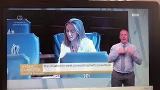 Dep Holly Cairns in the Covid Committee questioning the chair of Meat Industry Ireland
