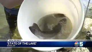 Lake Champlain Management Cooperative provides updates on fish species