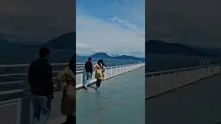 road trip Vancouver Island #roadtrip #shorts #video
