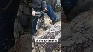 chainsaw Druzhba