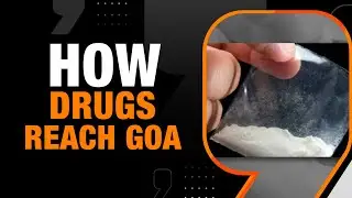How Drugs Reach Goa | Cocaine in Containers, LSD in books: Drug Routes Unveiled | News9