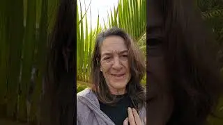 Full Moon Jan 3, Dissolving old patterns, Stepping in to your Truth