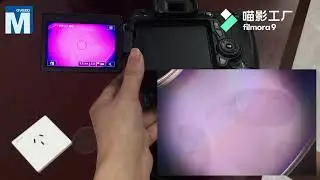Reflected UV Imaging System for Forensic Fingerprints OR-GZP500
