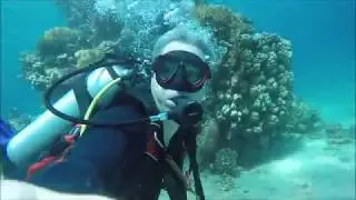 Scufundare Eilat Israel