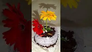 viral Flower pot cake design 🥰🥰#cake #dailyflavours #bakinglove #cakeart #flowerpotdesign #love