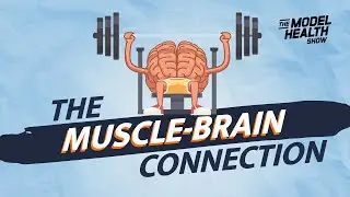 The Muscle Brain Connection | Shawn Stevenson