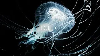 INTTERO - DJEG